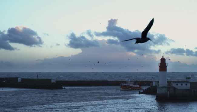 Là-bas la mer - À l’ombre des sentiments