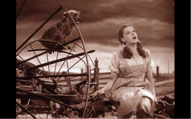 Judy Garland interprète "Over the rainbow" d’Harold Arlen. Cette chanson culte sera la signature vocale de l’actrice / chanteuse pendant toute sa carrière. 