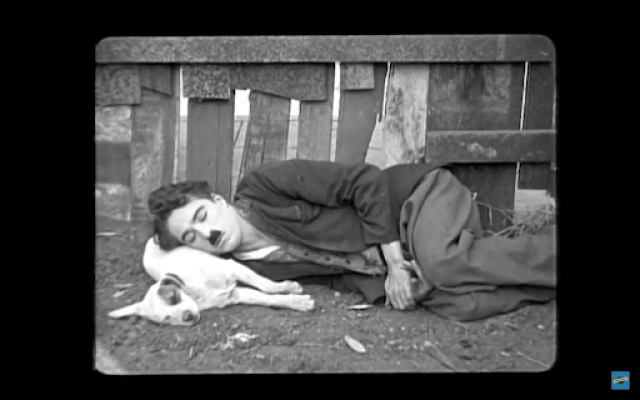 Le chien vient d’exhumer un portefeuille plein d’argent, et le donne à Charlie Chaplin. 