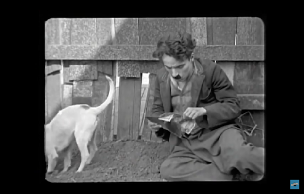 Le chien vient d’exhumer un portefeuille plein d’argent, et le donne à Charlie Chaplin. 