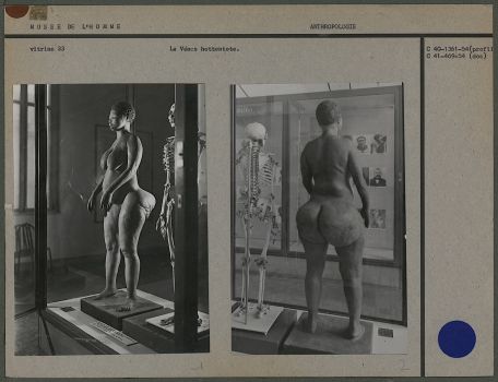 « La venus Hottentote » sculptée et exposée en vitrine au Musée de l’Homme jusqu’en 1974
